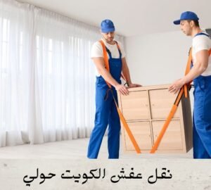 شركة نقل عفش الصبية
